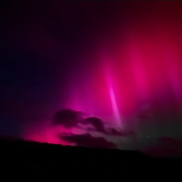 Meet your Posher, Yovanni - Picture 1 of 1